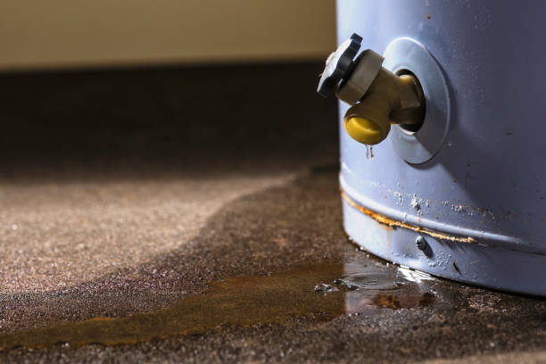 Best Professional water damage repair  in Hanover Park, IL