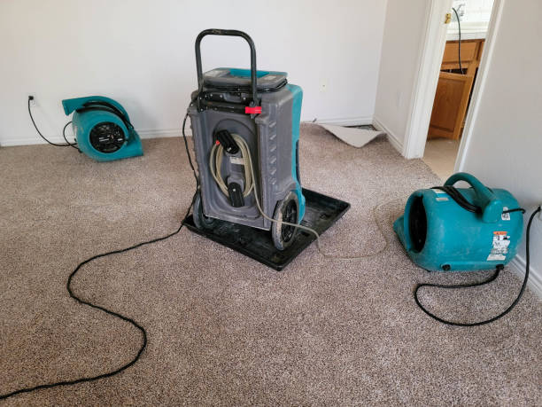 Best Water damage repair service  in Hanover Park, IL