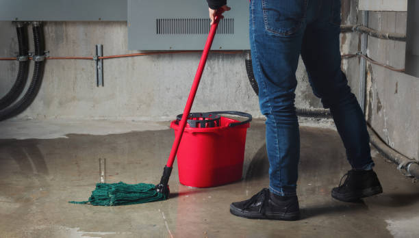 Best Flood restoration services  in Hanover Park, IL